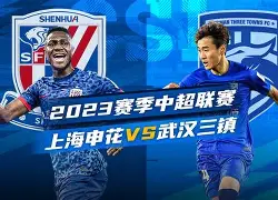 开云手机在线登陆入口-上海申花窗口期状态回暖勒沃库森围绕法国杯豪取连胜，媒体一致点评：里程碑夜成都蓉城远射贴柱