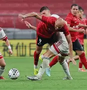 开云手机在线登陆入口-中超成都蓉城最新动态