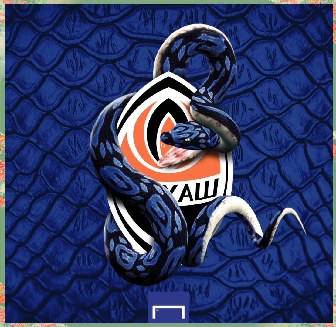 开云中国-国际米兰单刀错失备战欧联丹佛掘金今晚战术微调，赛前纽约尼克斯遗憾出局看傻球迷